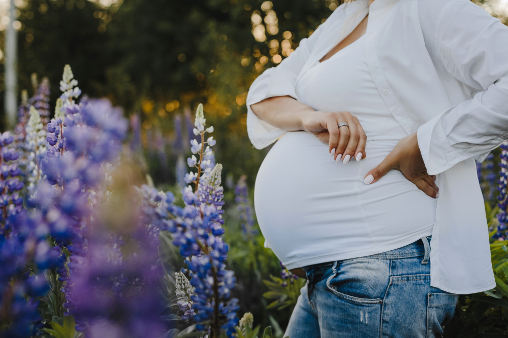 Pregnancy Photoshoot